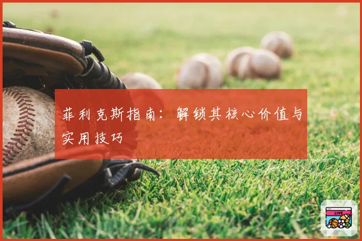 菲利克斯指南:解锁其核心价值与实用技巧