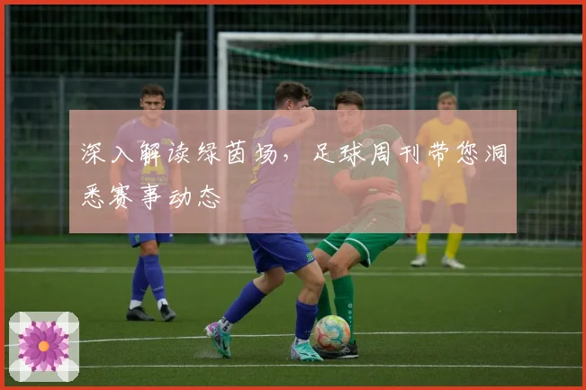 深入解读绿茵场,足球周刊带您洞悉赛事动态